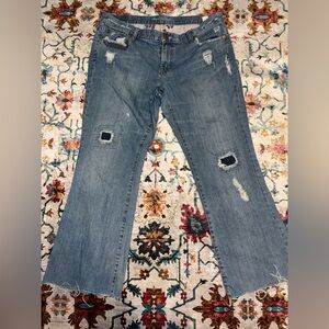 American Eagle Distressed Blue Jeans